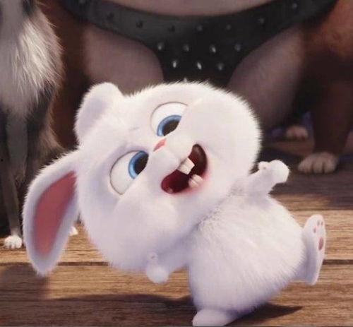 娱乐吃瓜酱兔圆圆,揭秘娱乐圈那些不为人知的幕后故事